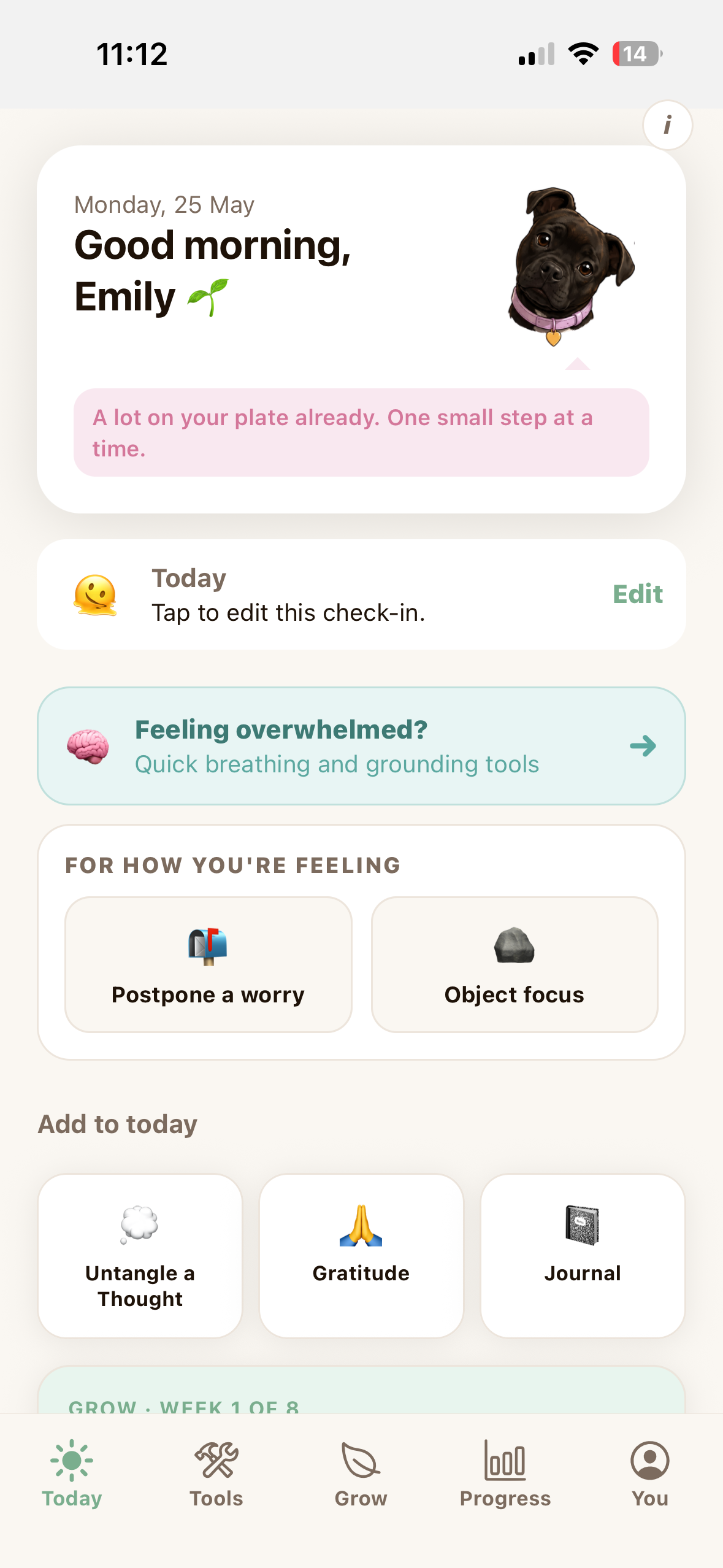 tend app today screen